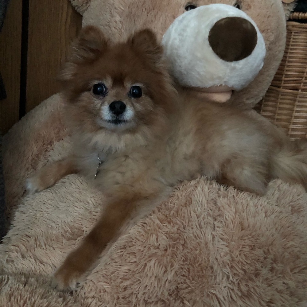 Meet your Posher, Deborah